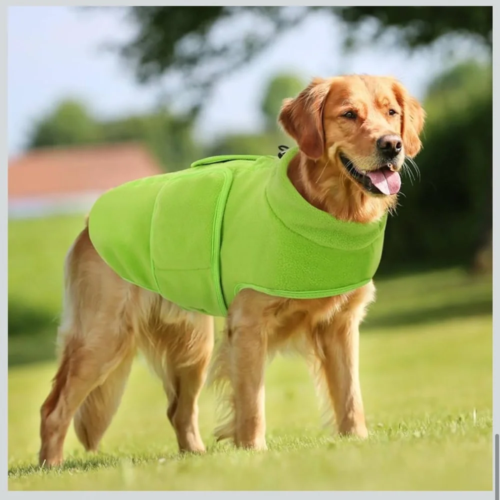 Neon Green Dog Jacket